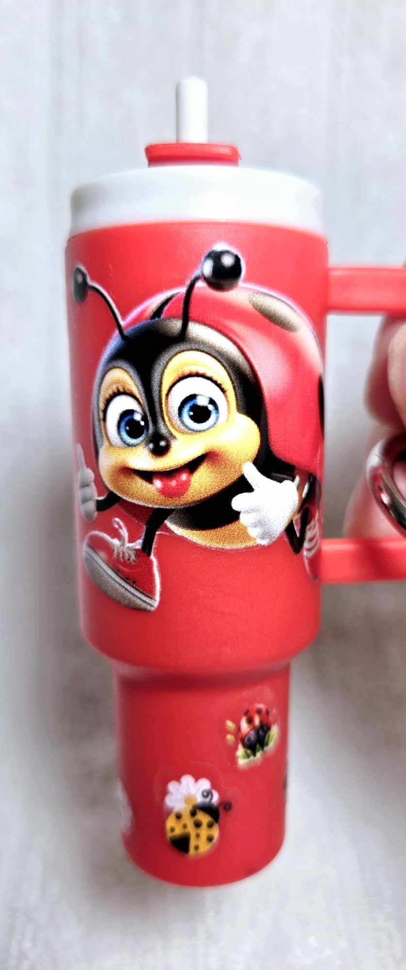 Lucky Ladybug Mini Keeper Keychain