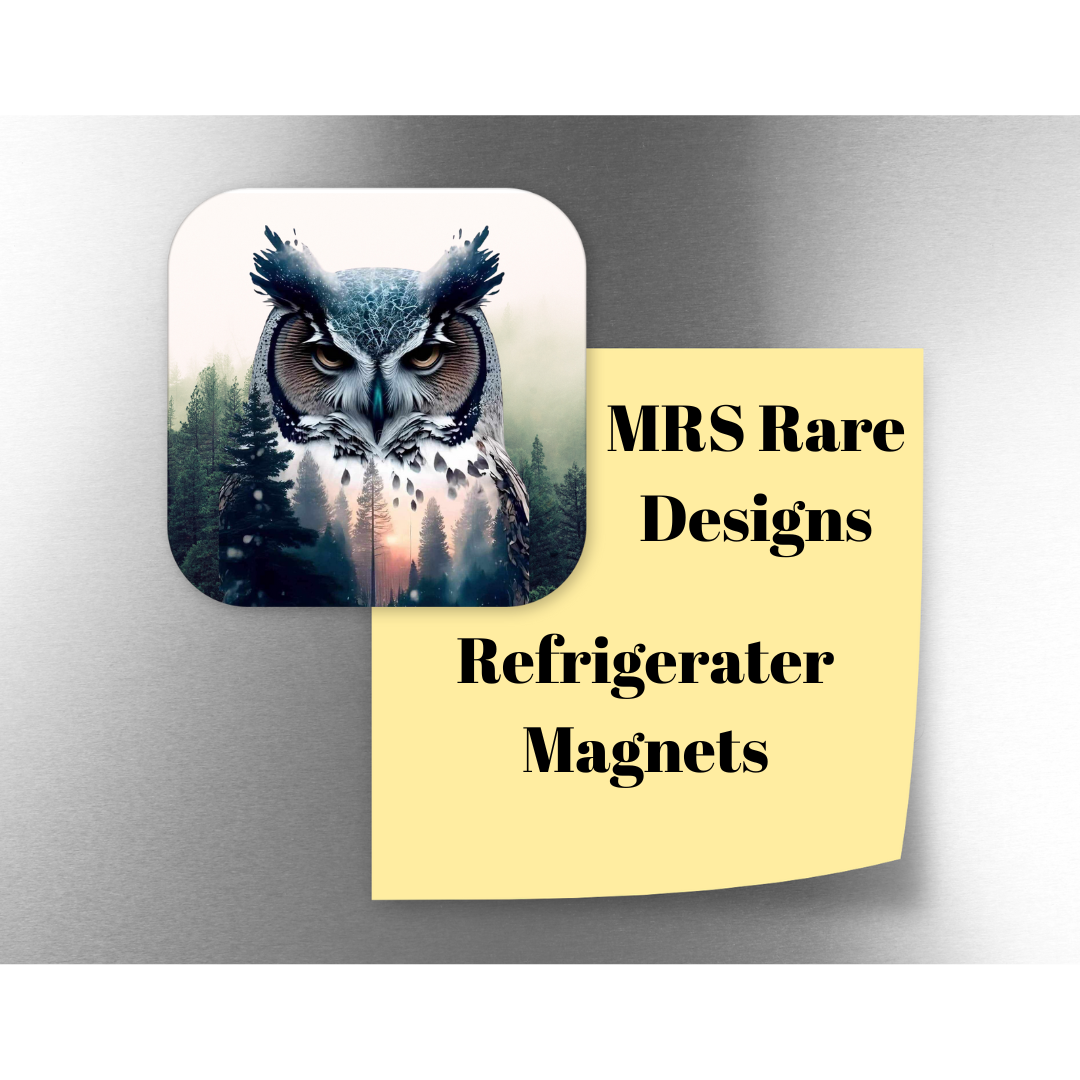 Owl Magnets