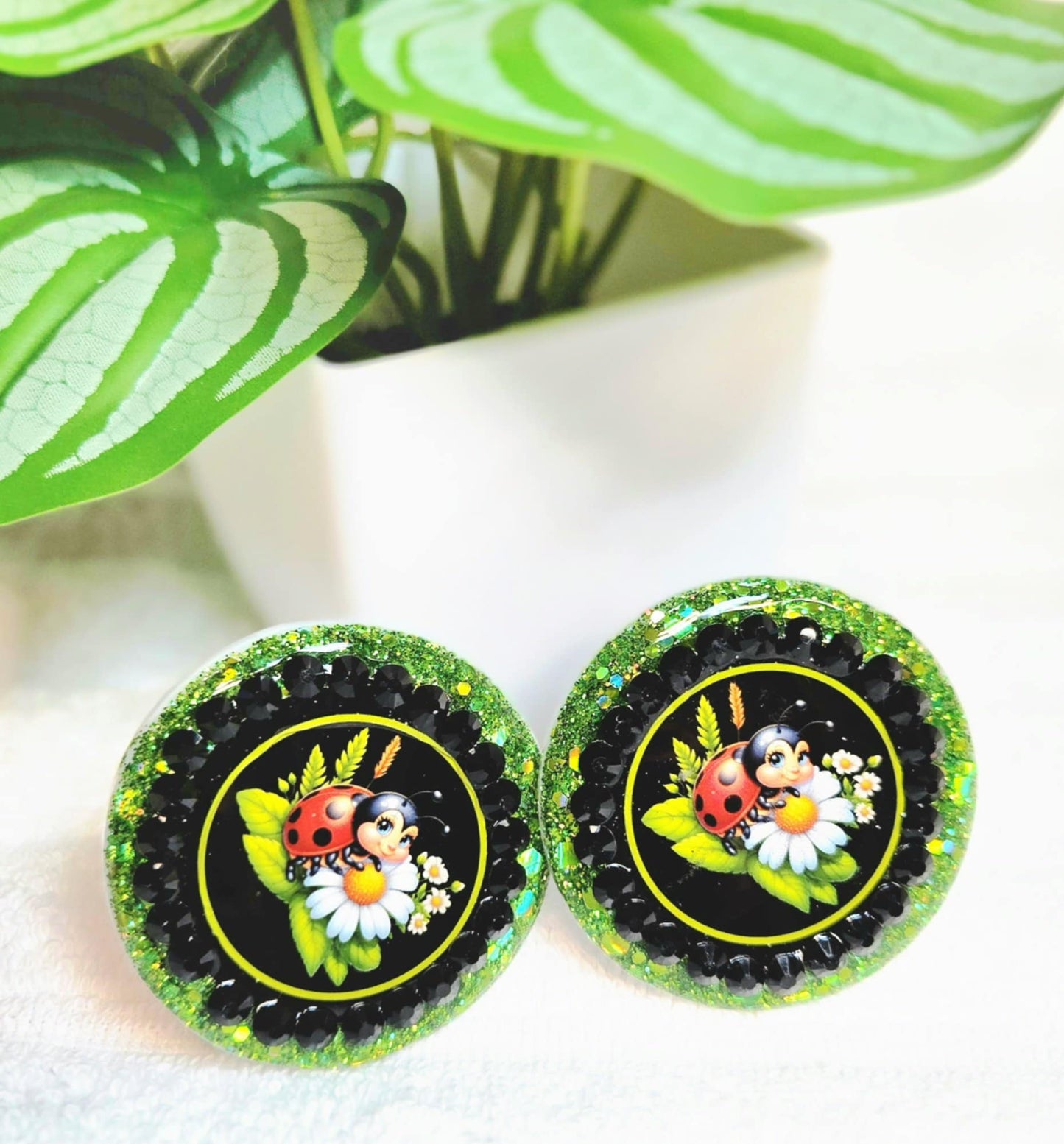 Ladybug Blossoms Car Charm & Clip Set