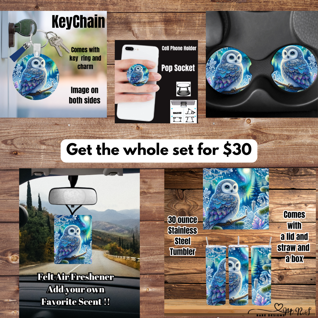 Enchanted Aurora Owl Essentials Set