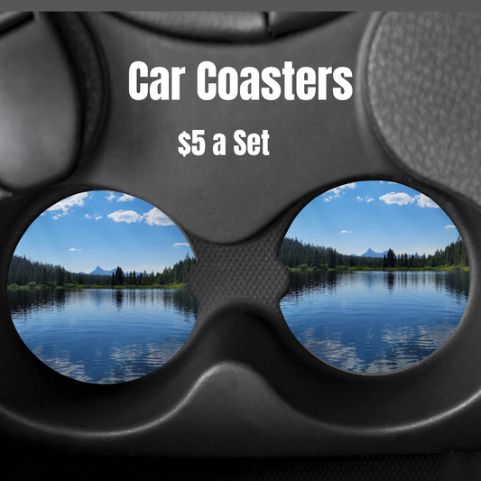 Lilly Lake Car Coasters