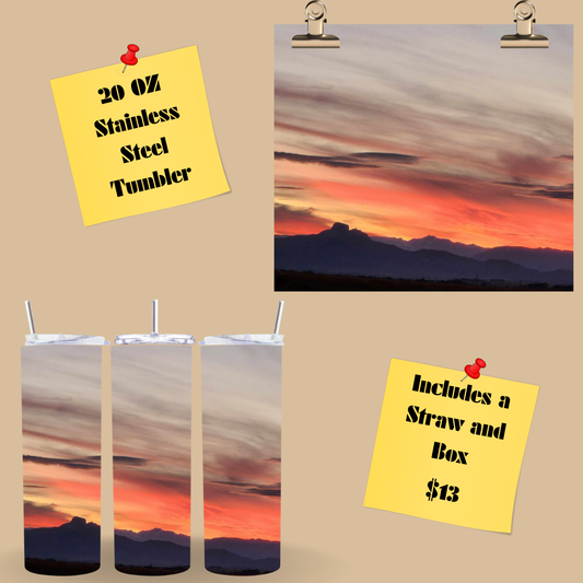 Heart Mountain 20OZ Tumbler